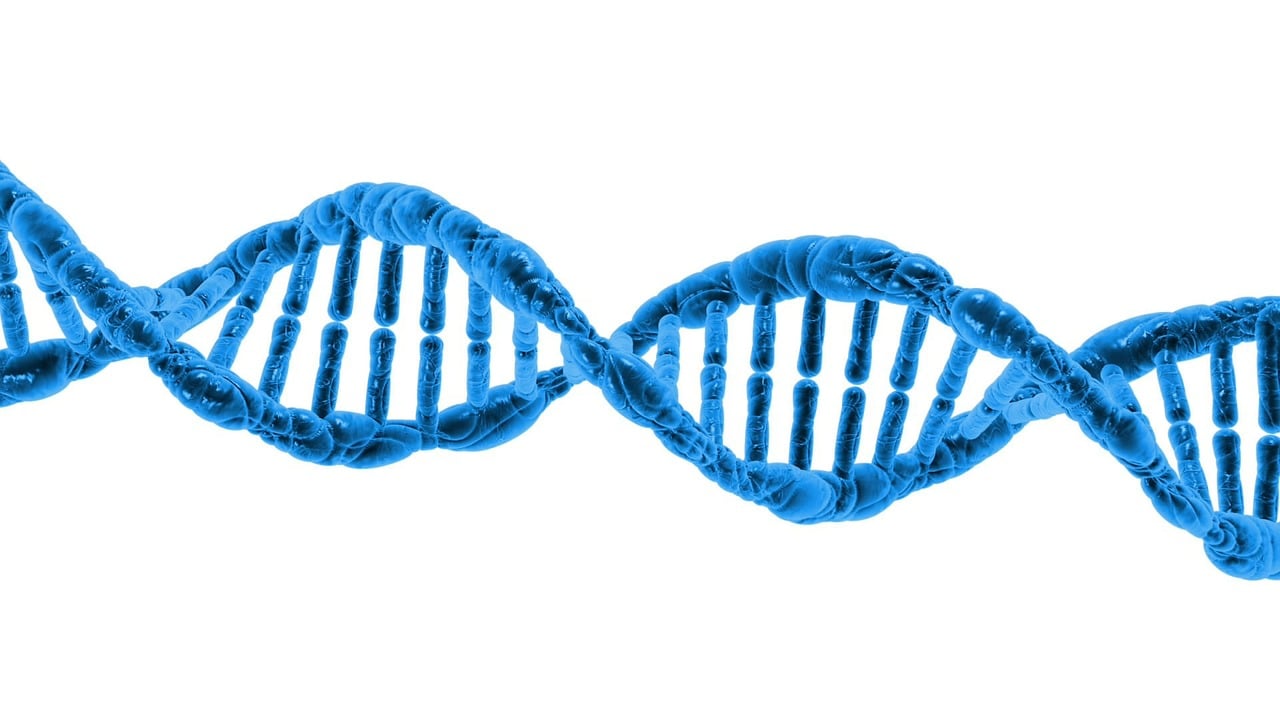 Evolutionary Thought and Philosophy - An Analysis